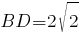 BD=2sqrt{2}